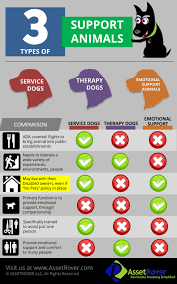 3 Types Of Support Animals Service Dogs Therapy Dogs Emotional Support Dog