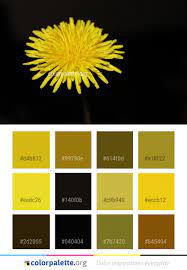 Flower Yellow Dandelion Color Palette Colors Inspiration Graphics Design Inspiration Beautiful Colorpalette Palette Dandelion Color Color Palette Color