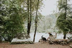 Bumps Bruzas Riverfront Bumps Bruzas Wa 305 Hipcamper Reviews And 359 Photos Riverfront Camping Photo Tent Camping