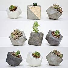 Maybe you would like to learn more about one of these? Modern Small Geometric Planter For Succulents By Concretegeometric Plants Geometric Planter Planting Flowers