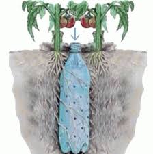 Un simple goutte à goutte qui consiste à percer un trou dans le bouchon avec un clou et quelques trous dans le fond. Arrosage Au Goutte A Goutte Installation Comparatif Systeme Prix