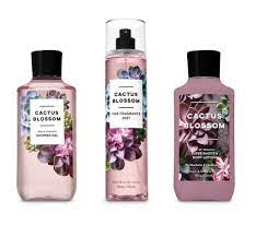 Cactus blossom di bath and body works è una fragranza del gruppo unisex. Cactus Blossom The Daily Trio Gift Set Full Size Shower Gel Fine Fragrance Mist And Super Smooth Body Lotion 8 Fl Oz 2019 Buy Online In Aruba At Aruba Desertcart Com Productid 155774764
