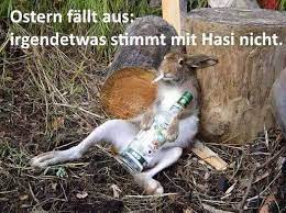Im falle einer anfrage verarbeiten wir ihre persönlichen daten, um sie bei der lösung ihres problems. Fungesteuert Lustige Bilder Witzige Videos Und Spruchebilder Ostern Fallt Aus Irgendetwas Stimmt Mi Lustige Bilder Von Tieren Ostern Lustig Lustige Bilder