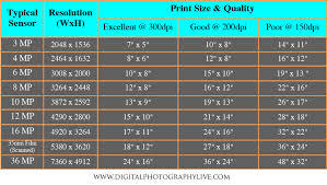 Megapixels Vs Print Size How Big Can You Print Digital