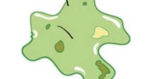 Coughing Up Green Mucus Thick Dark Green Phlegm Mucus Color Mucus Color Meanings