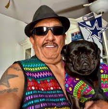 Cinco de Mayo celebration with pugs