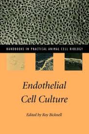 We did not find results for: Endothelial Cell Culture Roy Bicknell 9780521559904