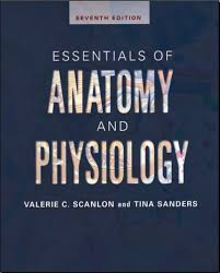 Essentials Of Anatomy And Physiology 7th Edition Pdf Scanlon Valerie C Anatomy And Physiology Physiology Anatomy And Physiology Book