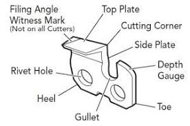 Chainsaw Chain Sharpening Angles Chart And Timber Google