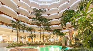 Image result for Melia