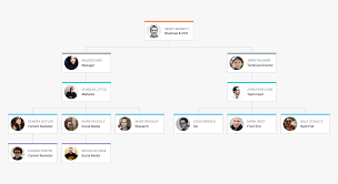 Use of trendy graphics with. Dhtmlxdiagram 1 0 Is Out Use Robust Javascript Org Charts