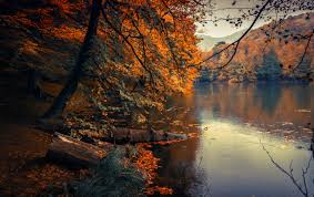 Autumn Leaves | Tafisa