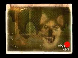 Smile Dog Imagen Original Youtube Any one know were to see the original picture of smile.dog? smile dog imagen original youtube