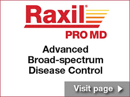 Bayer Raxil Seed Treatments Crop Science Us