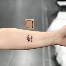 The roots of a tree are a symbolic sign of a connection to the past; Redwood Tree Scar Cover Up