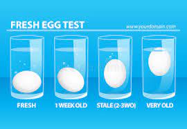 Eggs Test Stock Illustrations 319 Eggs Test Stock Illustrations Vectors Clipart Dreamstime