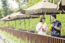 Secret Garden