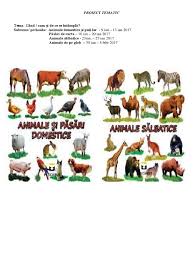 Pagini de colorat pentru preșcolari. Pekkadillo Buze Programa Joc Didactic Animale Salbatice Cine Este Si Ce Face Justan Net