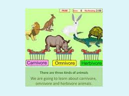 herbivore carnivore and omnivore animals