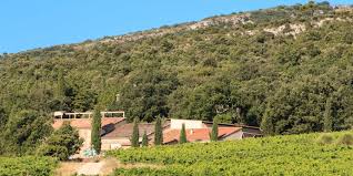 Domaine du deffends avec le figaro vin : Domaine Du Deffends La Route Des Vins De Provence