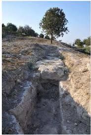 Bildergebnis für Bosmat Alon