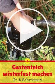 Teich Winterfest Machen Mit Bildern Teichpflanzen Winterfest Machen Wassergarten