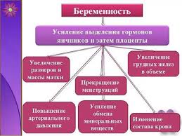 Бывают случаи, что даже никаких высыпаний на коже нет, а чешется так, что человек буквально раздирает кожу. Cheshetsya Grud