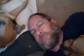 Fundraiser by Dean Giles : For the love of dogs