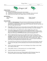 In the cytoplasm mrna delivers the code to the. Lab Dragon Lab 10 11 Nnhsbergbio