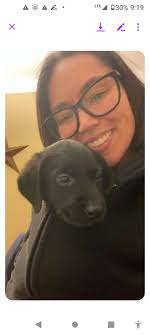 What a great start to the holiday season. We absolutely love handing these  beautiful babies over to their families.