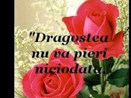 Marcaje, google search, browser web. 20 Poze Cu Mesaje De Dragoste Youtube