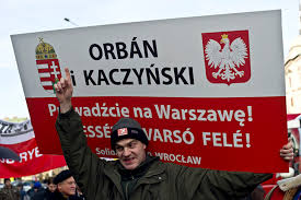 Böngésszen milliónyi szót és kifejezést a világ minden nyelvén. Hateves Lengyel Kislany Is Uvoltotte A Viktor Orbant