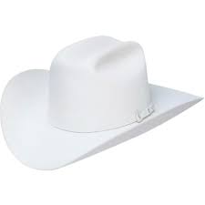 White 10x Stetson Shasta Hat Handmade In The Usa Premium Stetson Felt Hat Yeehawcowboy