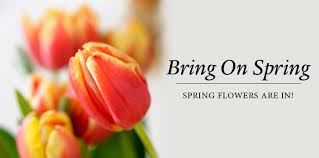 Where to see spring flowers in southern california. Spring Flowers Arrive In Southern California Mission Viejo Mission Viejo