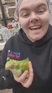 Meet Tadpole, one of our baby Quaker Parrots! 💚 , #quakerparrot