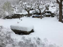 C'est la journée des femmes aujourd'hui ! Meteo Neige En Occitanie Les Images Du Retour De La Poudre Blanche En Ce Debut De Printemps Actu Occitanie