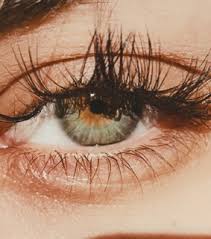 Collection by sphiarizvi • last updated 4 days ago. Aesthetic Eyes Images On Favim Com