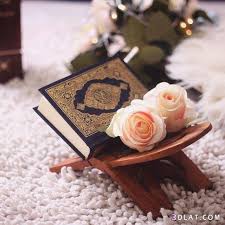 We did not find results for: ØµÙˆØ± Ù…ØµØ§Ø­Ù Ø®Ù„ÙÙŠØ§Øª Ù…ØµØ§Ø­Ù ØµÙˆØ± Ø§Ø³Ù„Ø§Ù…ÙŠÙ‡ Ø¬Ø¯ÙŠØ¯Ù‡ Ø­ØµØ±ÙŠ Ù…Ø¬Ù…ÙˆØ¹Ù‡ Ø¬Ø¯ÙŠØ¯Ù‡ Ù…Ù† Ø®Ù„ÙÙŠØ§Øª Ø­ÙŠØ§Ù‡ Ø§Ù„Ø±ÙˆØ­ 5