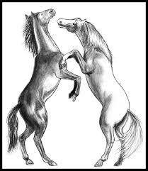 Our best drawing games include and 393 more. Fighting Stallions By Amarevia On Deviantart