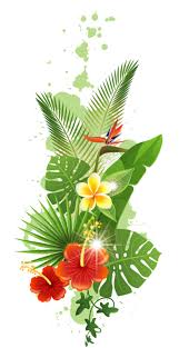 Fleurs Flores Flowers Bloemen Png Fleurs Guadeloupe Fleurs Tropicales Fleurs