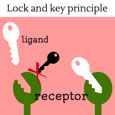 Check spelling or type a new query. Do We Really Need To Be Worried About Cleaning Our Receptors Tisserand Institute