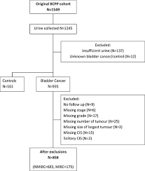 Oncotarget Exploring The Roles Of Urinary Hai 1 Epcam