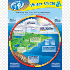 Water Cycle Chart Teacher Resource Teacher Png Download