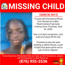 Child Protection and Family Services Agency