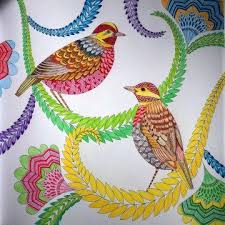 Tropical Wonderland Millie Marotta Millie Marotta Tropical Wonderland Millie Marotta Coloring Book Millie Marotta