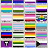 Em diferentes épocas de sua história, a bandeira lgbt passou por releituras, porque. 1