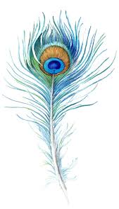 We did not find results for: Peacock Feather Drawings Novocom Top