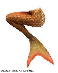 Mermaid Tail 12 Orange By Deviantroze On Deviantart Mermaid Tail Mermaid Sailing Art