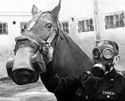 Both sides routinely used gas attacks as the war wore on, and the initial shock value lessened somewhat with the development of gas masks. People Wearing Gas Masks Gas Mask War Horse Horses