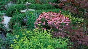 In late summer the foliage matures as a. Be Bold With Fine Textured Plants